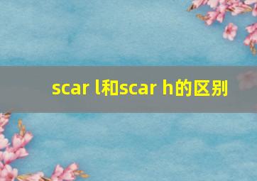 scar l和scar h的区别